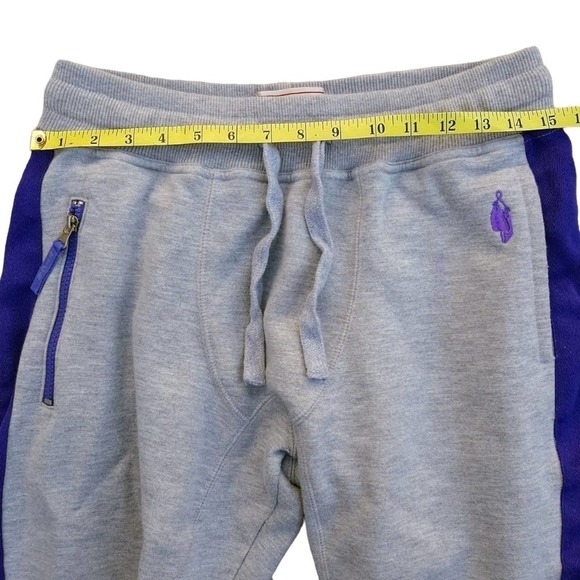 RTGB Red Tag Brand Gray w/Purple Sweat Shorts Large - Picture 6 of 9